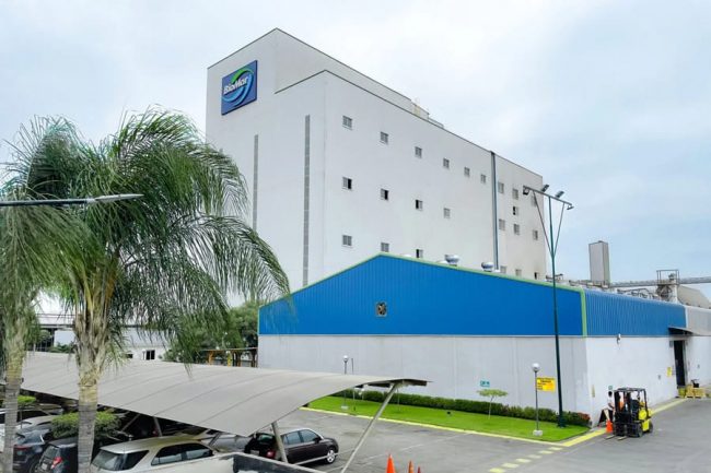 ensacadoras automáticas paletizadoras enfundadoras BioMar